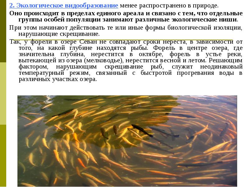 Определите по рисунку вид изоляции севанской. Экологическое видообразовани. Экологическое видообразование. Экологическое видо оброзование. Экологическое видообразование в природе.