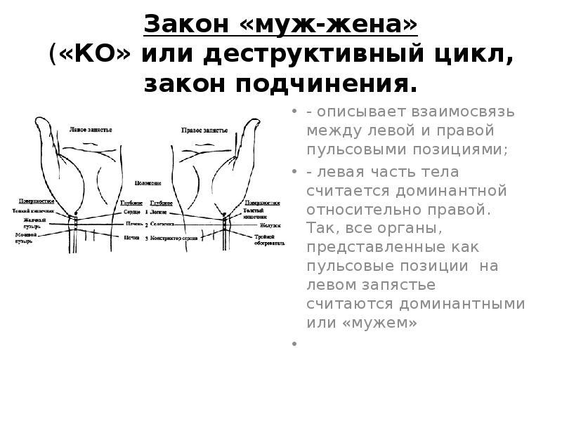 Левая позиция. Сигнальная точка сердца. Пульсовая диагностика кинезиология.