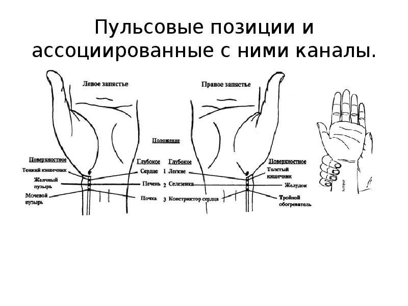 Пульсовая диагностика картинки