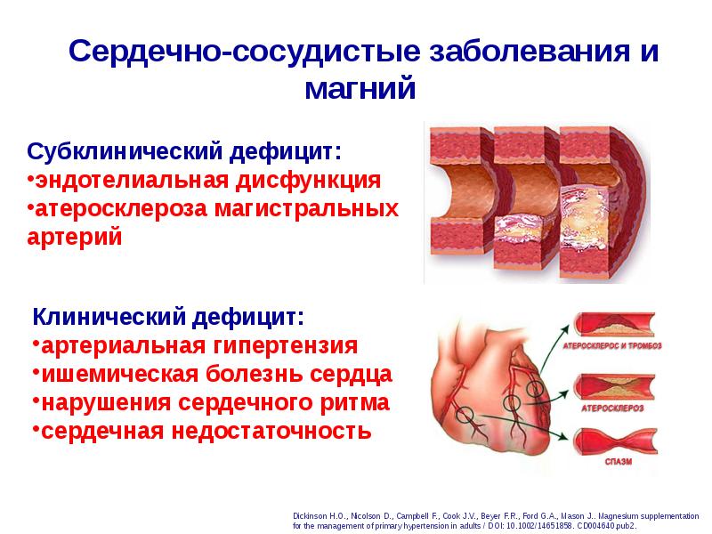 Мерсил невро фото