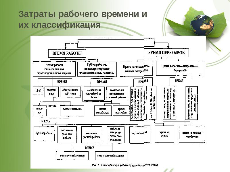 Трудовые процессы и затраты рабочего времени. Затраты рабочего времени. Классификация рабочего времени. Схема затрат рабочего времени. Основные виды затрат рабочего времени.