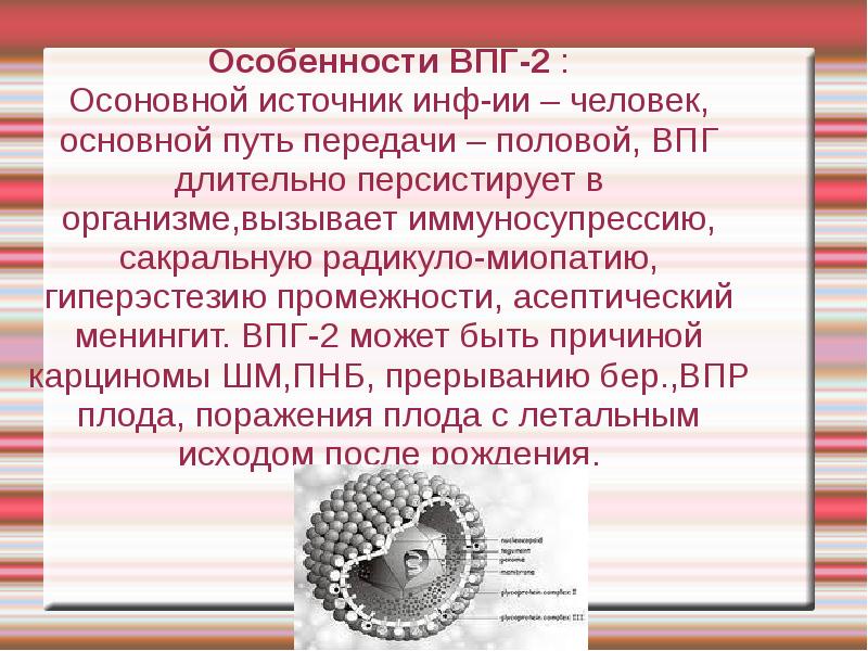 Впг бесплатный. Основной путь передачи ВПГ. ВПГ 2 может передаваться.