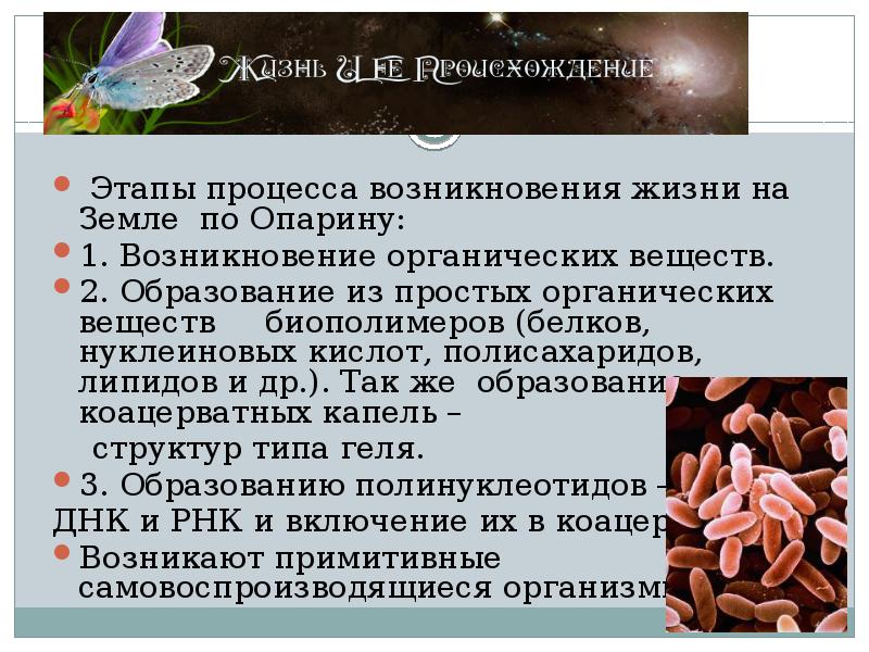 Презентация современные представления о возникновении жизни на земле 9 класс пономарева