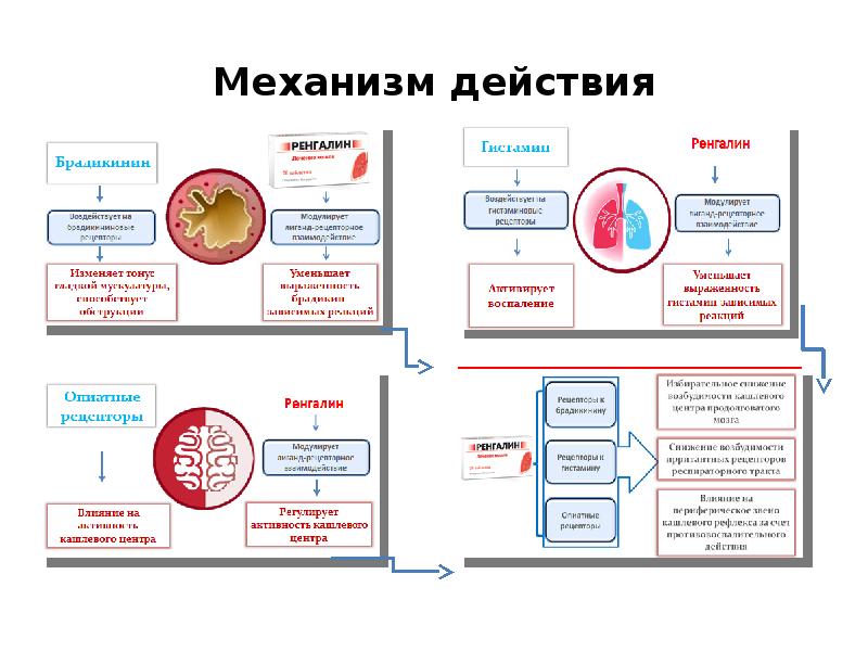 Схема вирусной инфекции. Ренгалин механизм действия. ОРЗ патогенез. Схема развития ОРВИ. Механизм действия ОРВИ.