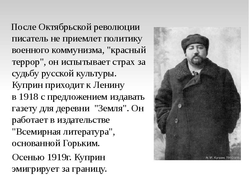 Зачем а и куприн сравнивает картины жизни большого города и жизни мальчиков