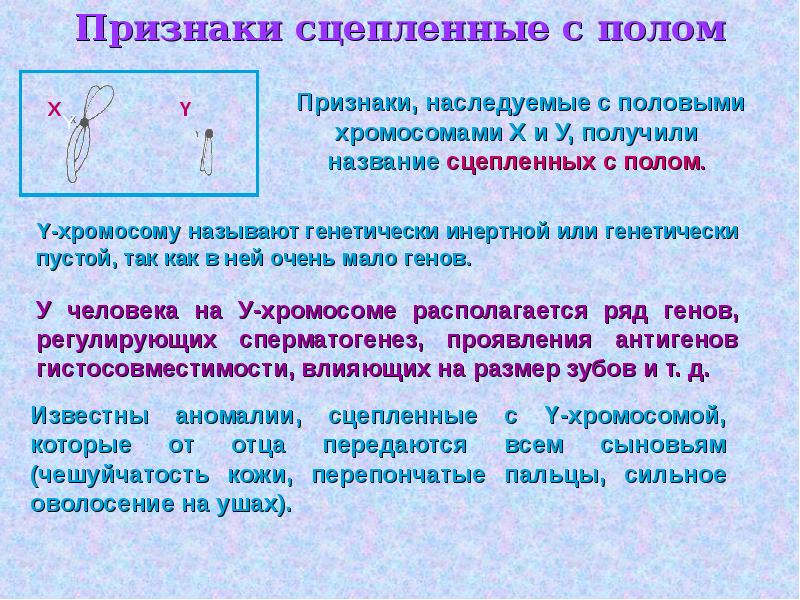 Сцепленное наследование с полом презентация 10 класс профильный уровень