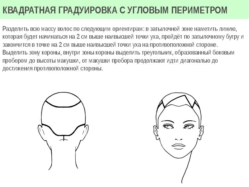 Все виды проборов на голове схема