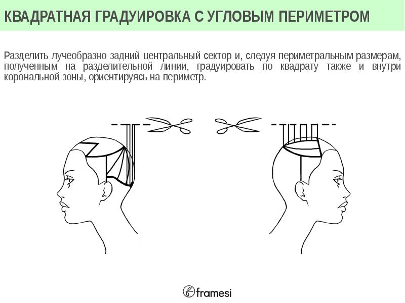 Линия техники