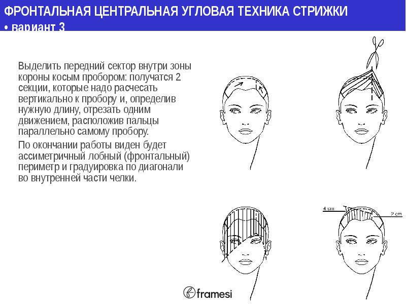 Технология стрижки радиальными проборами