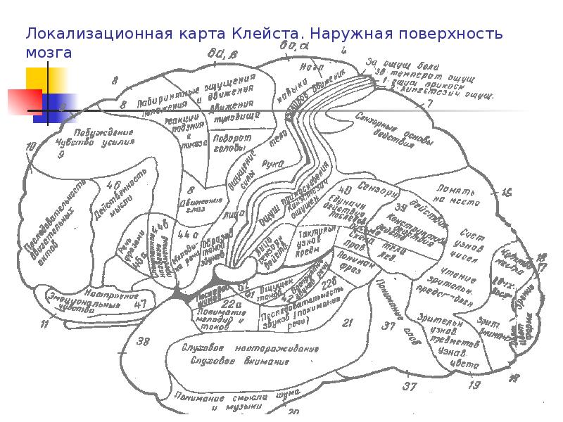 Локализационная карта клейма