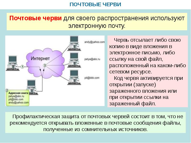 Сетевые черви презентация