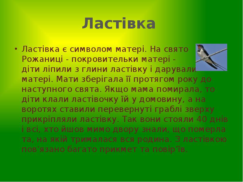 Ластівка
Ластівка є символом матері. На свято Рожаниці - покровительки Ластівка
Ластівка є символом матері. На свято Рожаниці - покровительки