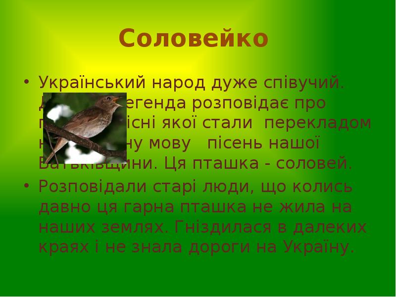 Соловейко
Український народ дуже співучий. Давня легенда розповідає про пташку, Соловейко
Український народ дуже співучий. Давня легенда розповідає про пташку,