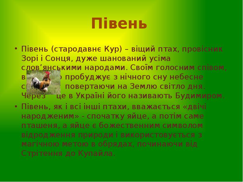 Півень
Півень (стародавнє Кур) – віщий птах, провісник Зорі і Півень
Півень (стародавнє Кур) – віщий птах, провісник Зорі і