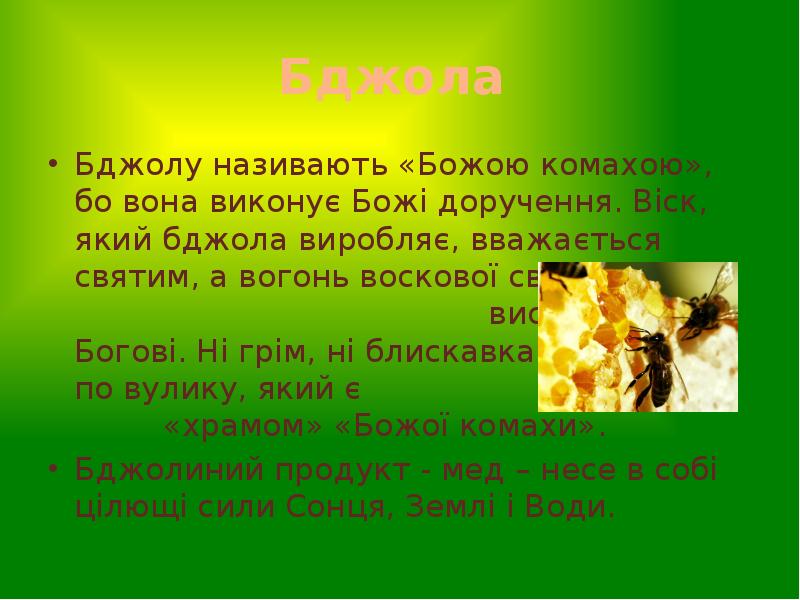 Бджола
Бджолу називають «Божою комахою», бо вона виконує Божі доручення. Бджола
Бджолу називають «Божою комахою», бо вона виконує Божі доручення.