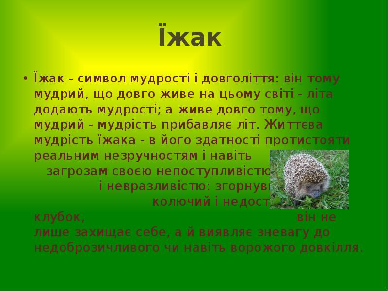 Їжак
Їжак - символ мудрості і довголіття: він тому мудрий, Їжак
Їжак - символ мудрості і довголіття: він тому мудрий,