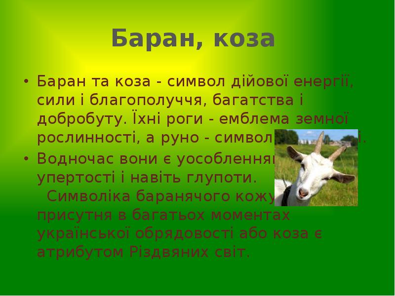 Баран, коза
Баран та коза - символ дійової енергії, сили Баран, коза
Баран та коза - символ дійової енергії, сили