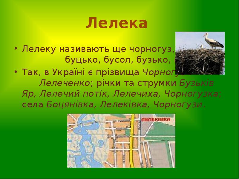 Лелека
Лелеку називають ще чорногуз, Лелека
Лелеку називають ще чорногуз,