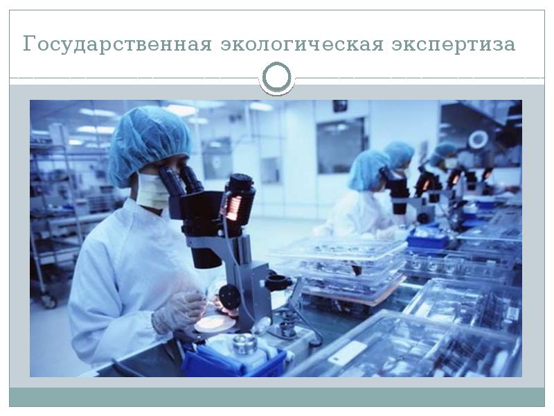 Экологическая экспертиза проектов государственная и общественная экспертиза