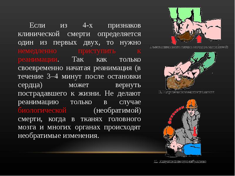 Смерть как биологическое явление презентация