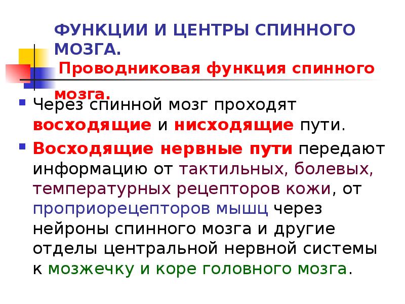 Схема функции спинного мозга