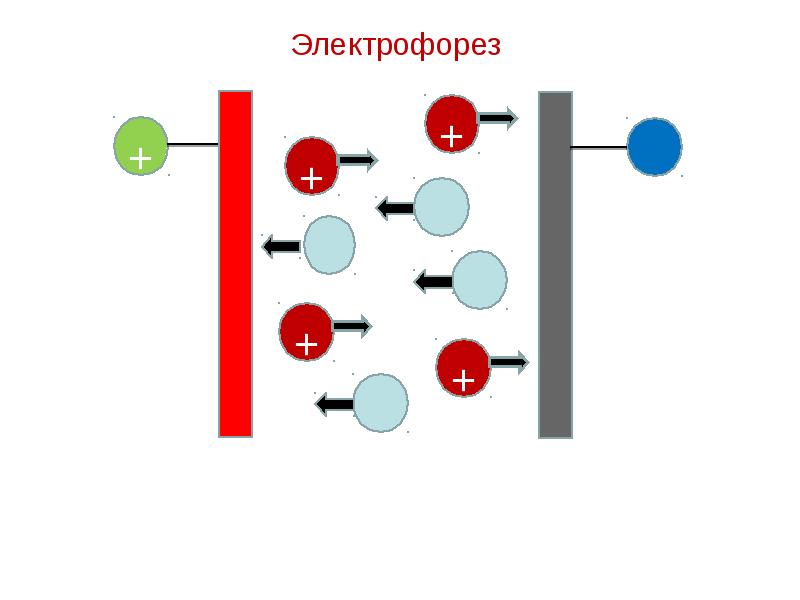 Схема капиллярного электрофореза