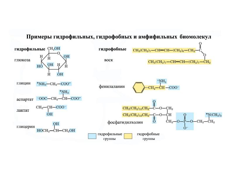 Проект минеральные вещества