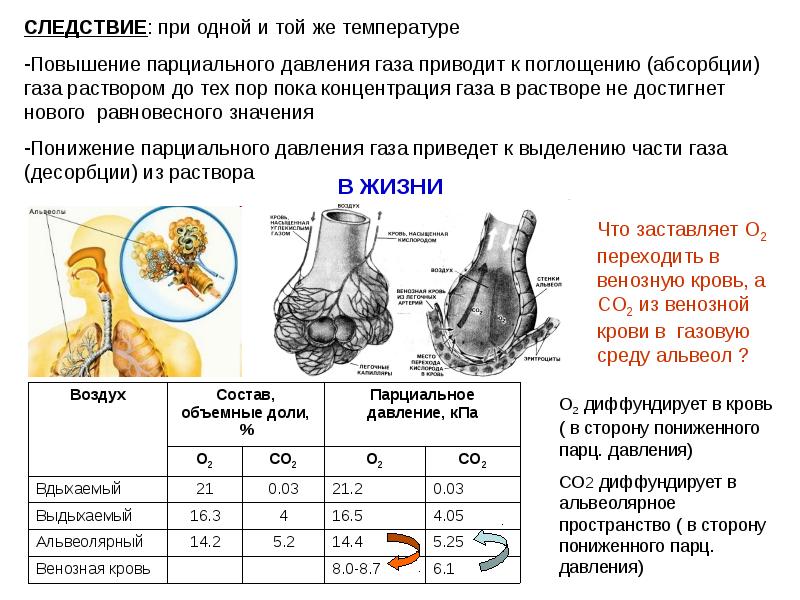 Повышение давления газа. При повышении температуры парциальное давление. Парц давление. Парциальное давление со2 в венозной крови. Время жизни раствора.