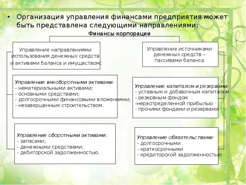 основные направления финансовой деятельности. основные направления финансового менеджмента организации. направления финансового управления. организация финансовой деятельности предприятия. финансовый менеджмент фирмы.