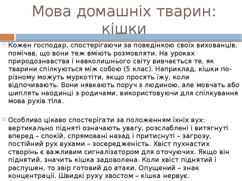 Мова домашніх тварин: кішки
Кожен господар, спостерігаючи за поведінкою своїх вихованців, Мова домашніх тварин: кішки
Кожен господар, спостерігаючи за поведінкою своїх вихованців,