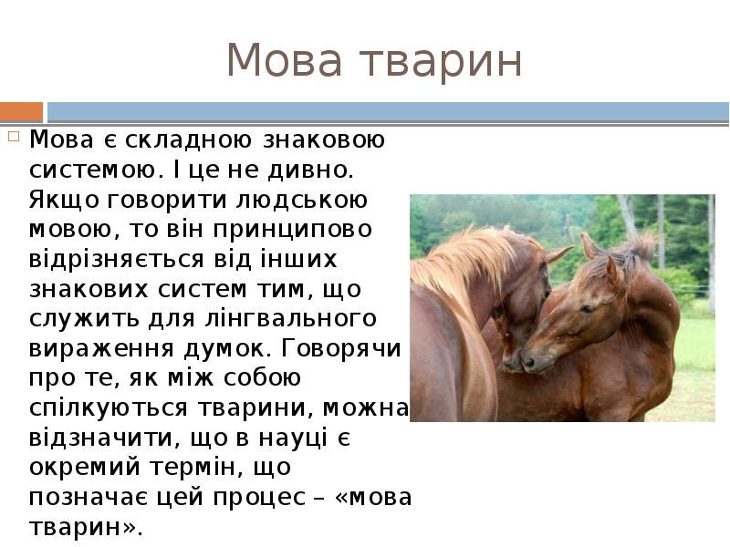 Мова тварин
Мова є складною знаковою системою. І це не дивно. Мова тварин
Мова є складною знаковою системою. І це не дивно.