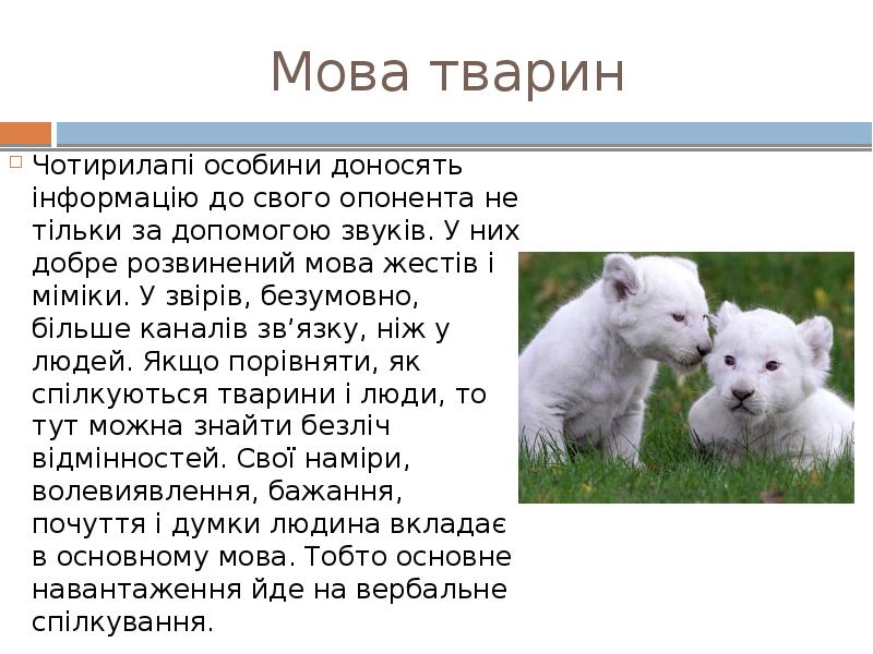 Мова тварин
Чотирилапі особини доносять інформацію до свого опонента не тільки Мова тварин
Чотирилапі особини доносять інформацію до свого опонента не тільки