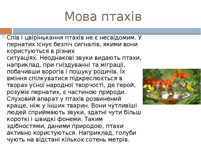 Мова птахів
Спів і цвірінькання птахів не є несвідомим. У пернатих Мова птахів
Спів і цвірінькання птахів не є несвідомим. У пернатих