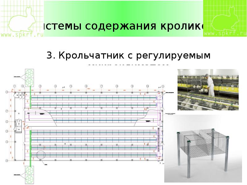 Системой содержащей. Системы содержания кроликов. Крольчатник с регулируемым микроклиматом. Содержание системы.