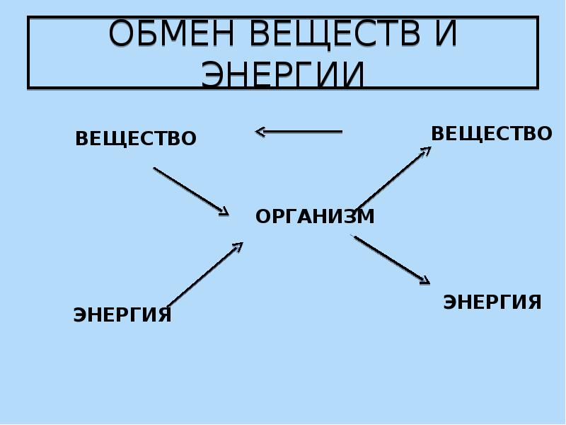 Обмен веществ и обращение энергии в клетке. Метаболизм рыб картинки для презентации. Обмен веществ и энергии в клетке 10 класс технологическая карта.