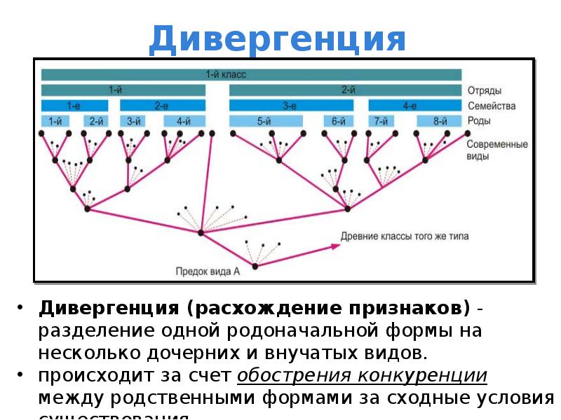 Дивергенция это