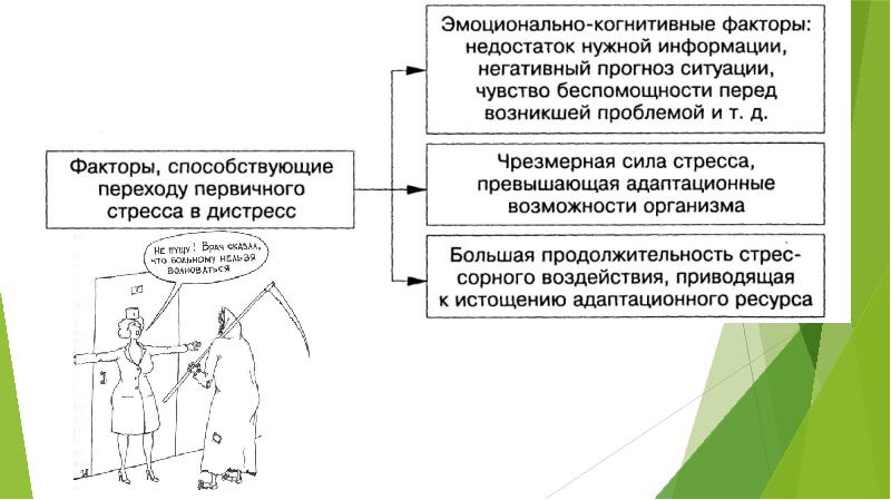 Когнитивные факторы в дизайне