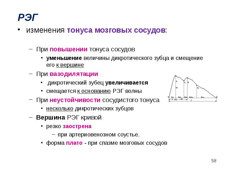 Дикротическая выемка