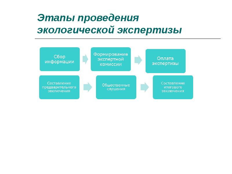 Проведение государственной экологической экспертизы. Порядок проведения экологической экспертизы схема. Этапы прохождения государственной экологической экспертизы. Этапы общественной экологической экспертизы. Стадии государственной экологической экспертизы схема.