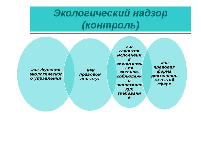 Государственный экологический надзор презентация