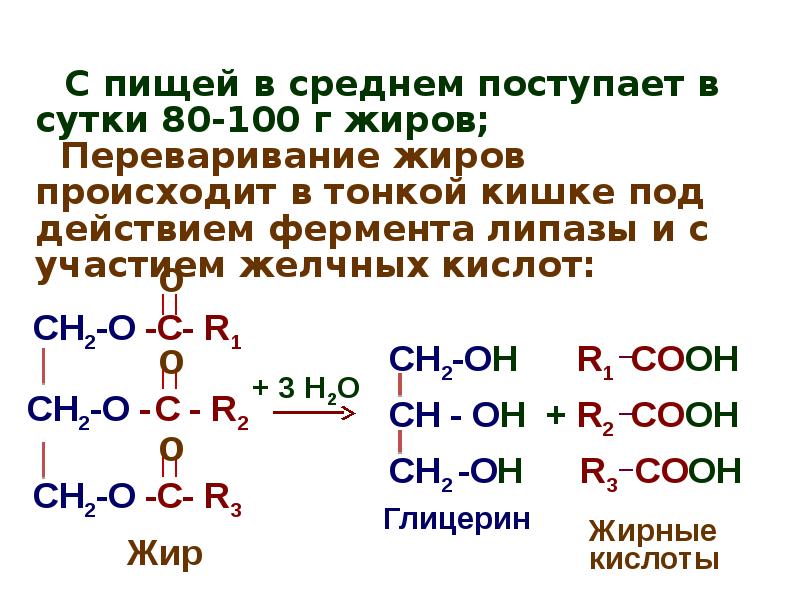 Глицерин и жирные кислоты. До жирных кислот и глицерина расщепляются. Распад жиров на глицерин и жирные кислоты. Расщепление липидов до глицерина и жирных кислот происходит. Расщепление нейтрального жира.