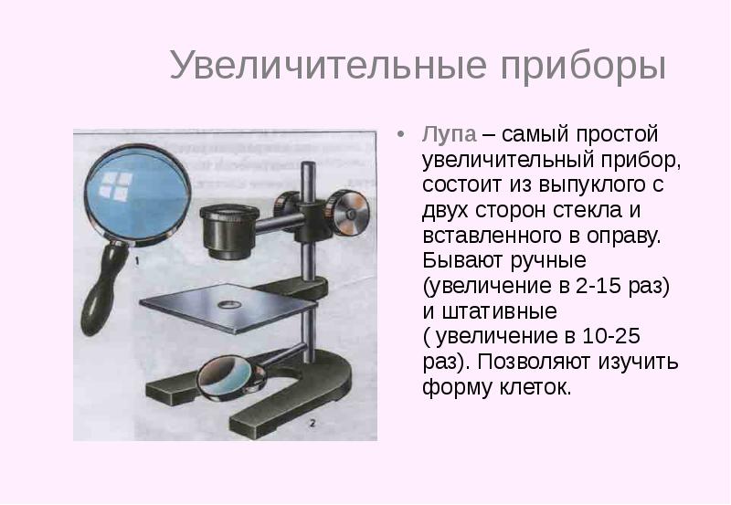 Рассмотрите изображение штативной лупы рис 1 что обозначено на рисунке буквой а ответ