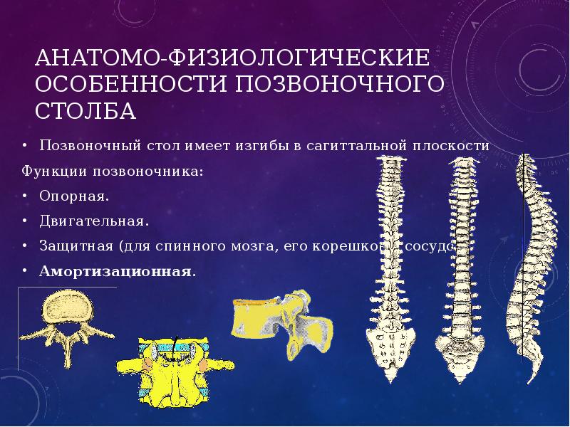 Травмы позвоночника у детей презентация