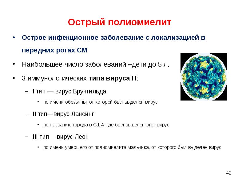 Вирус полиомиелита микробиология презентация