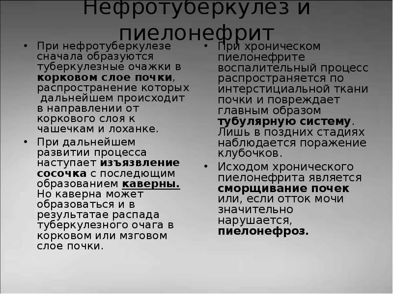 Туберкулез почек презентация