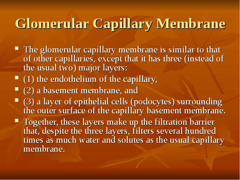 Glomerular Capillary Membrane The glomerular capillary membrane is similar to that