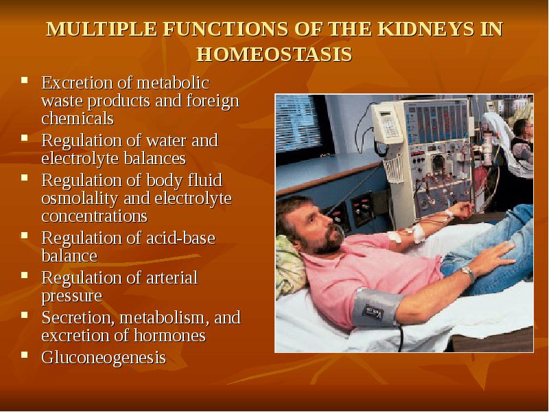 MULTIPLE FUNCTIONS OF THE KIDNEYS IN HOMEOSTASIS Excretion of metabolic waste