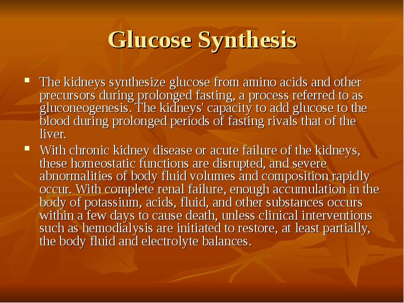 Glucose Synthesis The kidneys synthesize glucose from amino acids and other