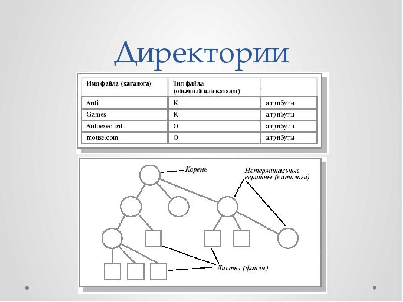 Что такое директория проекта