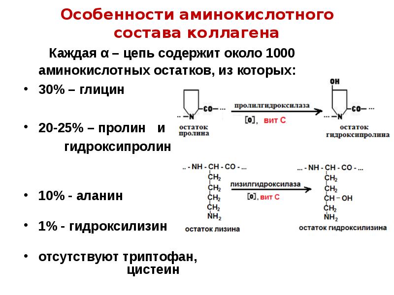 Биохимия мышечной ткани презентация